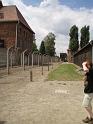 in Auschwitz-Birkenau (01)
